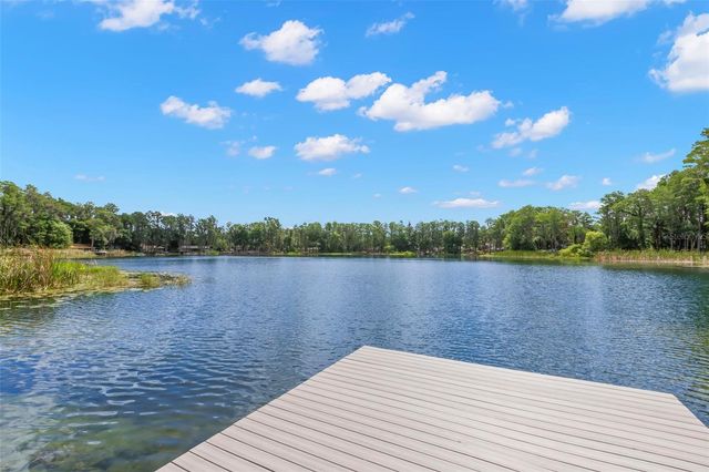 17309 N DALE MABRY HIGHWAY, Lutz, FL 33548