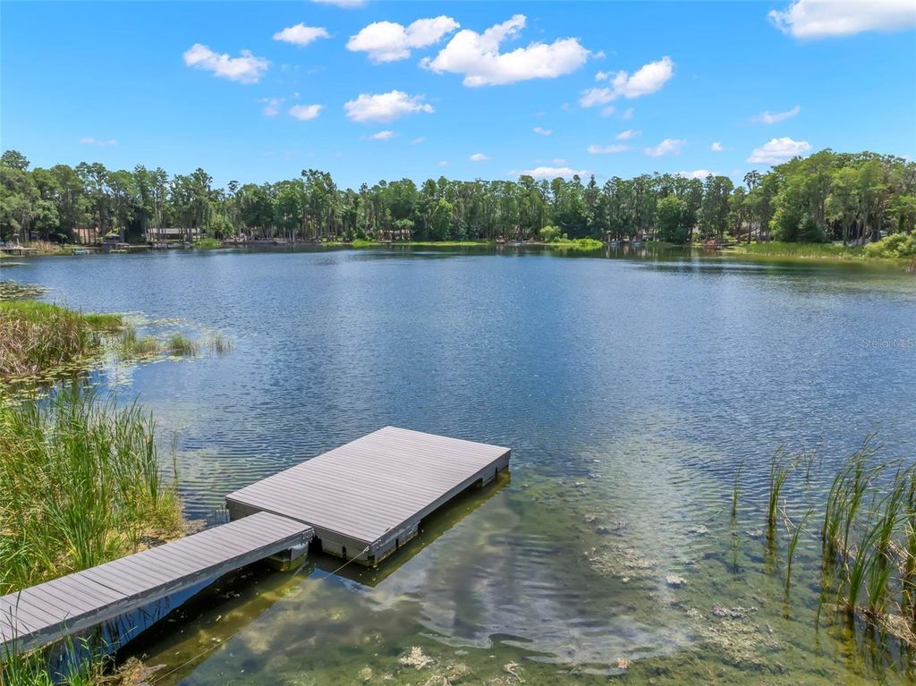 17309 N DALE MABRY HIGHWAY, Lutz, FL 33548