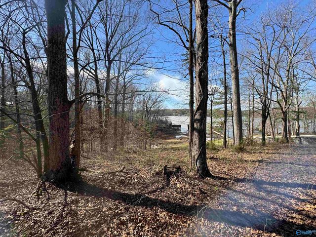 18387 Dement Road, Athens, AL 35611