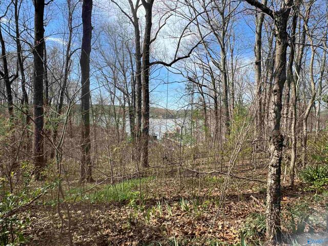 18387 Dement Road, Athens, AL 35611