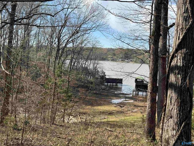 18387 Dement Road, Athens, AL 35611