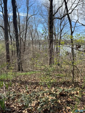 18387 Dement Road, Athens, AL 35611