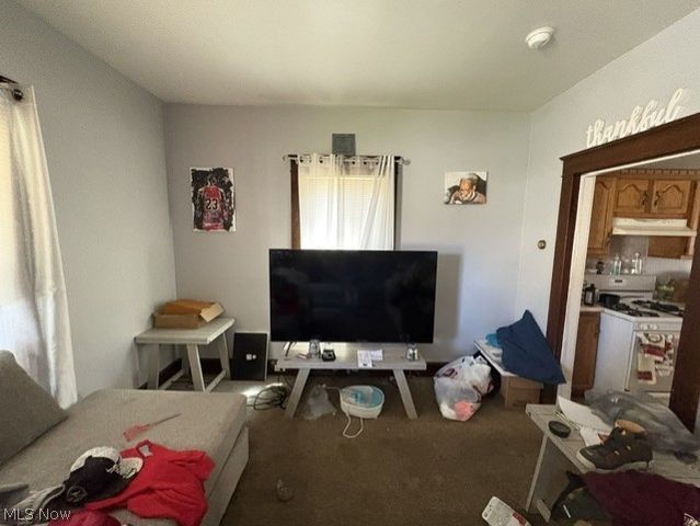 1743 Silliman Street, Youngstown, OH 44509