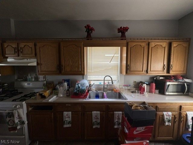 1743 Silliman Street, Youngstown, OH 44509