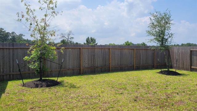 526 Dalloway Street, Montgomery, TX 77316
