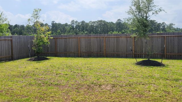 526 Dalloway Street, Montgomery, TX 77316