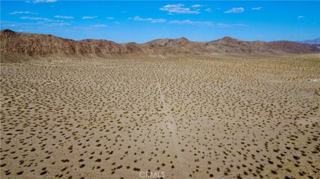 2559 Sunfair, Joshua Tree, CA 92252