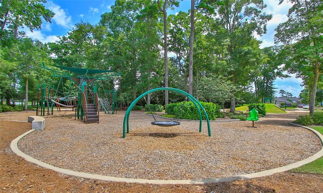 255 Brecon Buff Drive, Willis, TX 77318