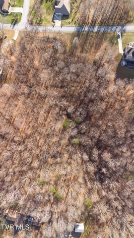 Tbd Allison Timbers Road, Piney Flats, TN 37686