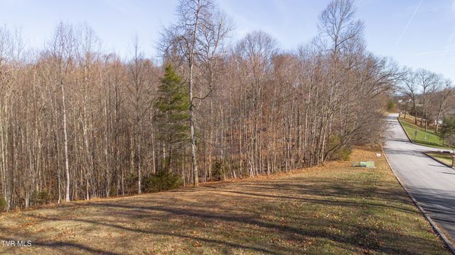 Tbd Allison Timbers Road, Piney Flats, TN 37686