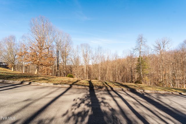 Tbd Allison Timbers Road, Piney Flats, TN 37686