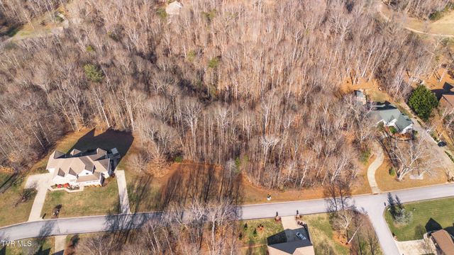 Tbd Allison Timbers Road, Piney Flats, TN 37686