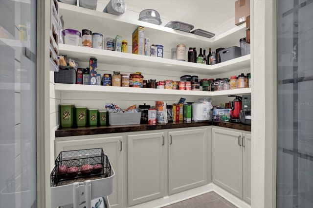 729 SANDY CREEK DRIVE, Brandon, FL 33511