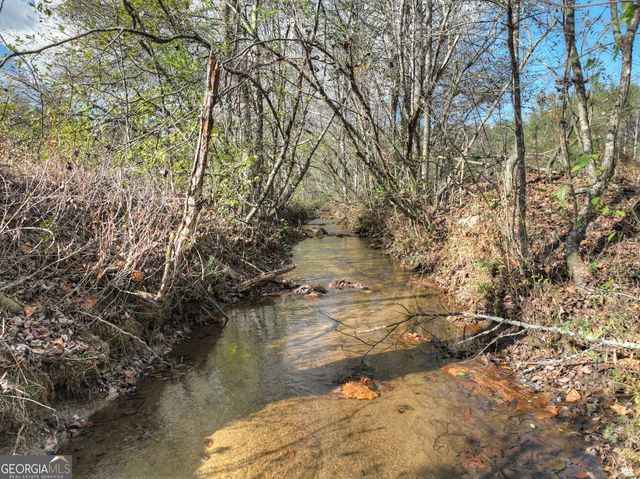 203 Buck Creek Trail, Epworth, GA 30541