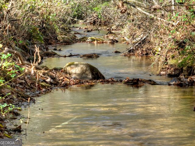 203 Buck Creek Trail, Epworth, GA 30541