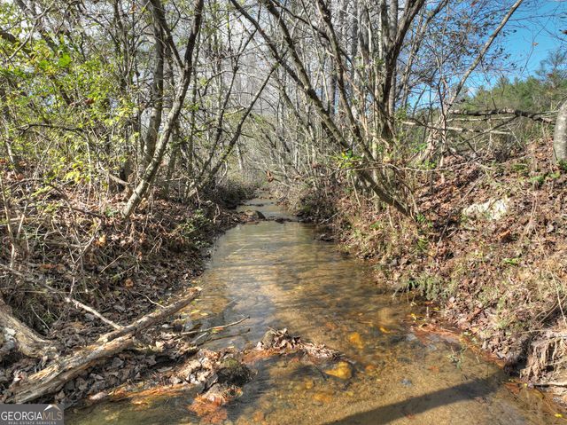 203 Buck Creek Trail, Epworth, GA 30541