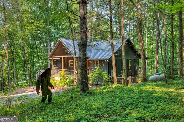 203 Buck Creek Trail, Epworth, GA 30541