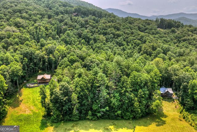 203 Buck Creek Trail, Epworth, GA 30541