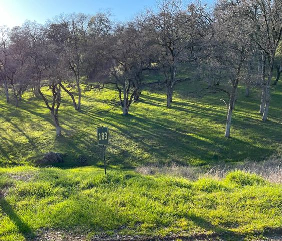 23272-Lot 183 Darkhorse Dr, Auburn, CA 95602
