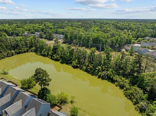 8988 Cat Tail Pond Road, Summerville, SC 29485