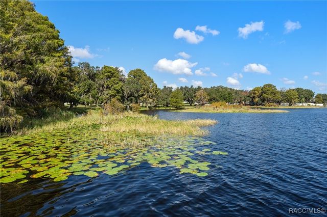 3622 E Arbor Lakes Drive, Hernando, FL 34442