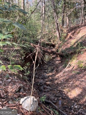 106 Fernbanks Court, Athens, GA 30605