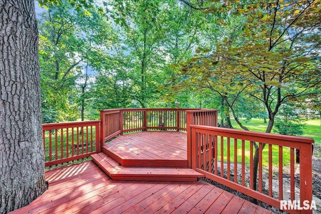 228 BRIARWOOD Place, Dahinda, IL 61428