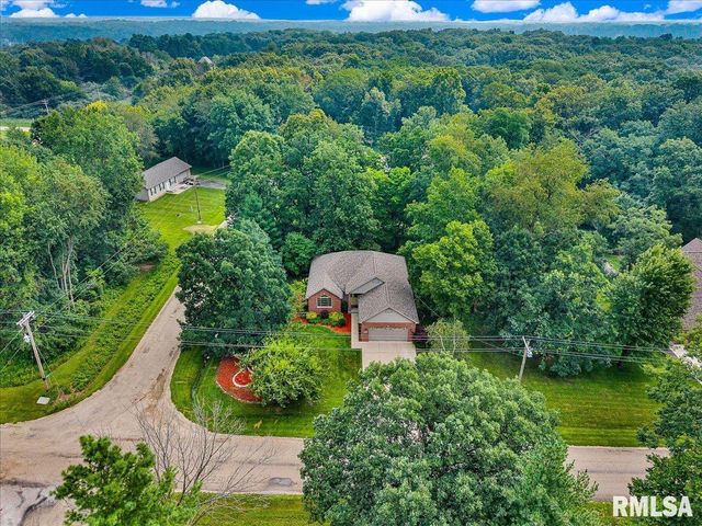 228 BRIARWOOD Place, Dahinda, IL 61428