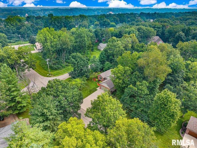 228 BRIARWOOD Place, Dahinda, IL 61428