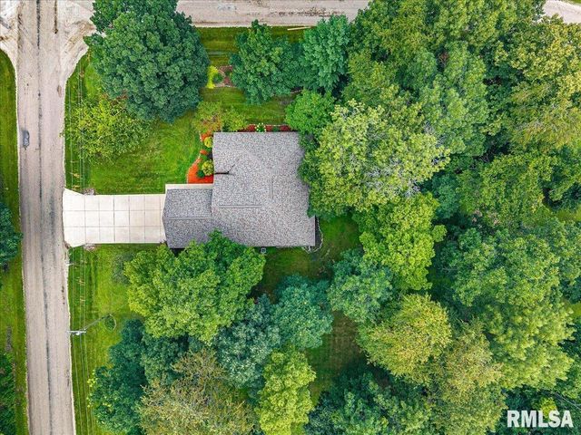 228 BRIARWOOD Place, Dahinda, IL 61428