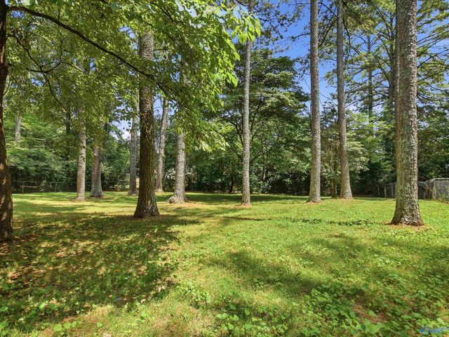 106 Stavemill Circle, Madison, AL 35758