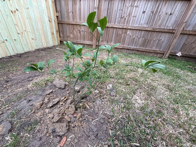 1197 Briarmeadow Drive, Beaumont, TX 77706