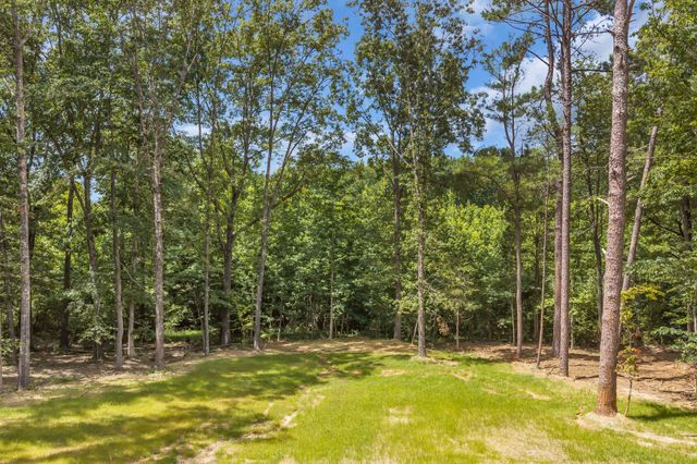 1167 Harmon Springs Rd, Dickson, TN 37055