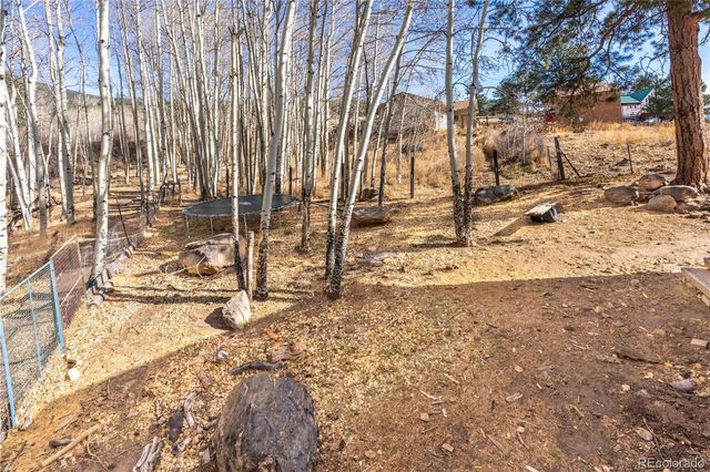 80 Heide Road, Shawnee, CO 80475