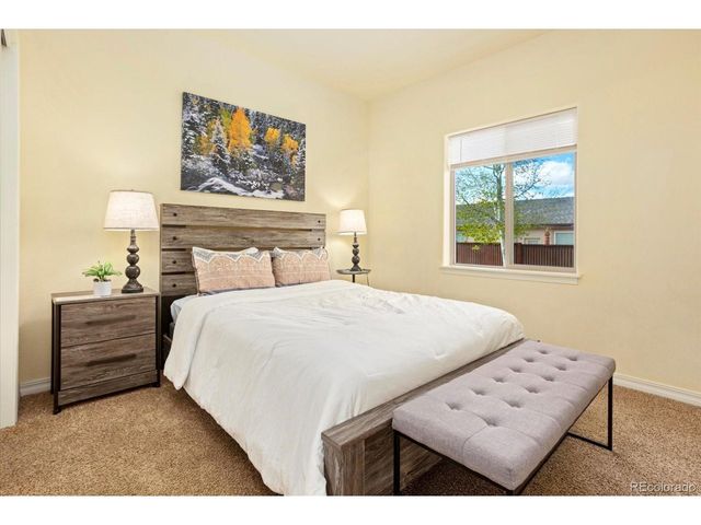 117 Red Tail Blvd, Buena Vista, CO 81211