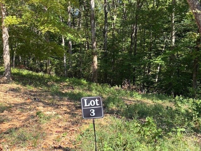 3212 Hunziker Lane, Fairview, TN 37062