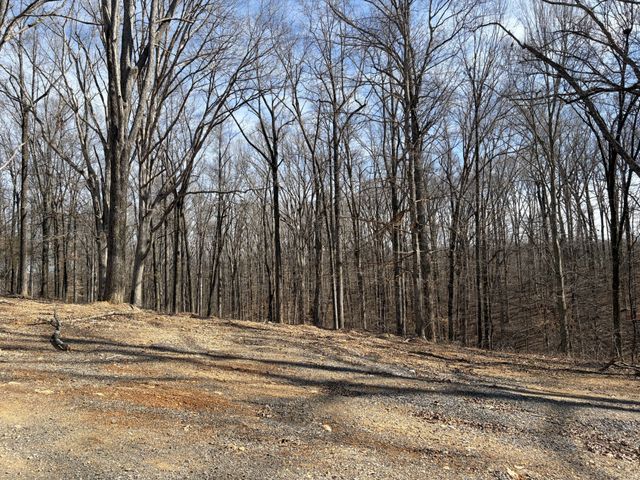 3212 Hunziker Lane, Fairview, TN 37062