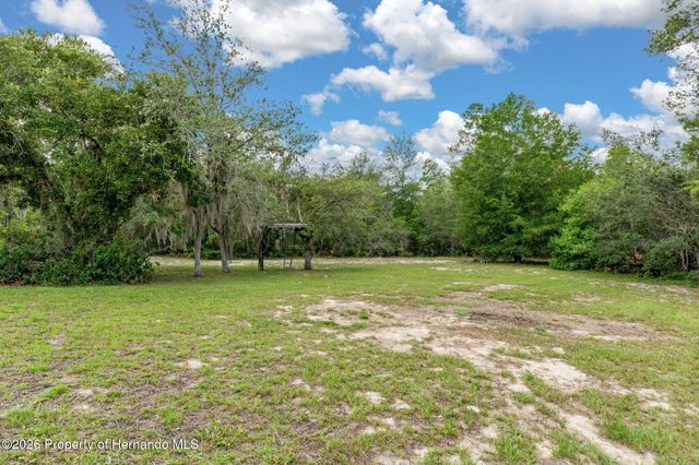 7335 Blackbird Avenue, Weeki Wachee, FL 34613
