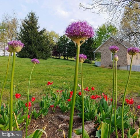 50 COTTAGE DR, Luray, VA 22835