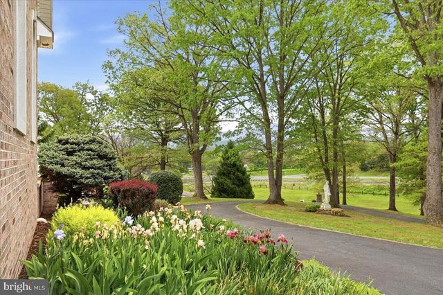 50 COTTAGE DR, Luray, VA 22835