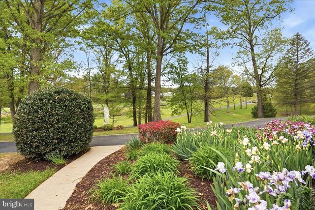 50 COTTAGE DR, Luray, VA 22835
