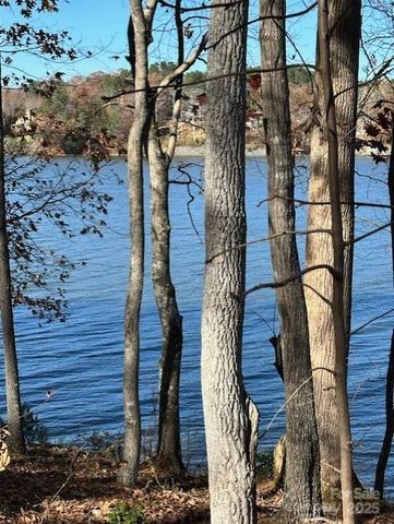 2242 Pikes Peak Ridge 159, Connelly Springs, NC 28612