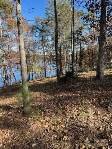 2242 Pikes Peak Ridge 159, Connelly Springs, NC 28612