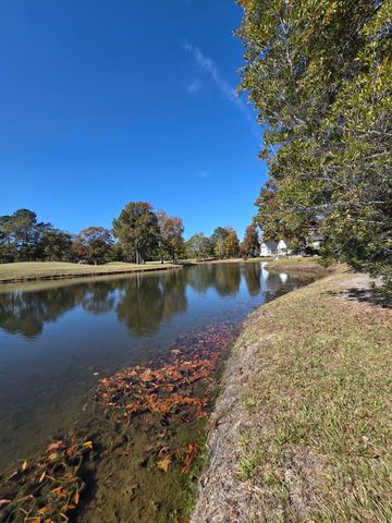 1391 Blue Heron, Manning, SC 29102