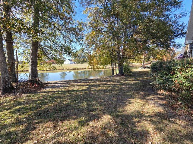 1391 Blue Heron, Manning, SC 29102