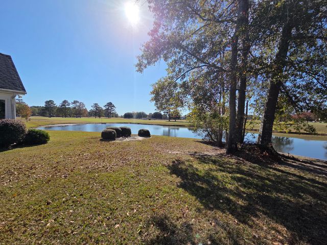 1391 Blue Heron, Manning, SC 29102