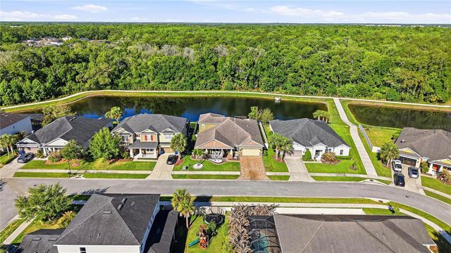 1737 VIRGINIA WILLOW DRIVE, Wesley Chapel, FL 33544