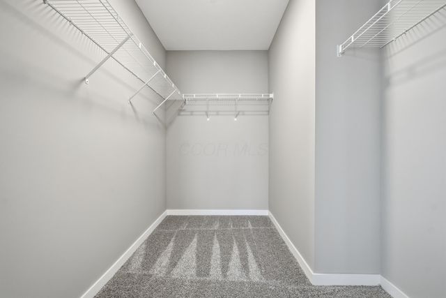 5503 Fawnsbury Court, Powell, OH 43065