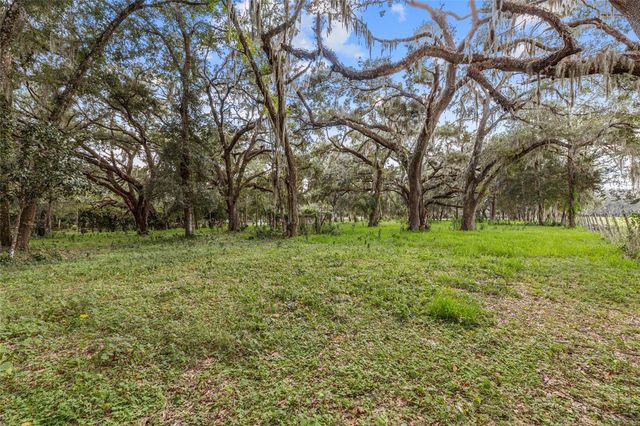 17445 PALMER LANE, Spring Hill, FL 34610