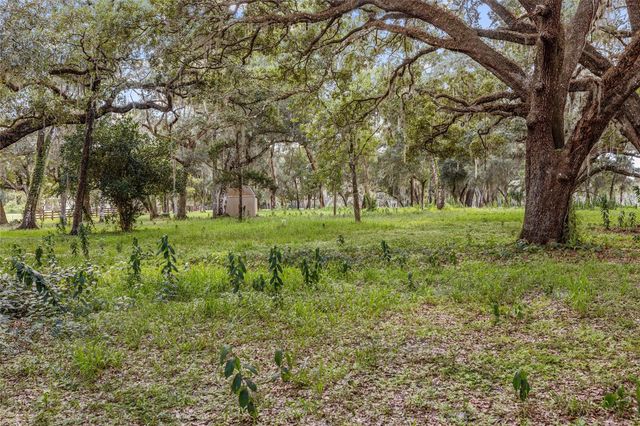 17445 PALMER LANE, Spring Hill, FL 34610
